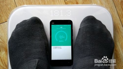 全面指南 如何正确使用小米智能体重秤